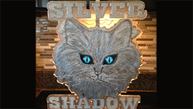 Silver Shadow 2.0…